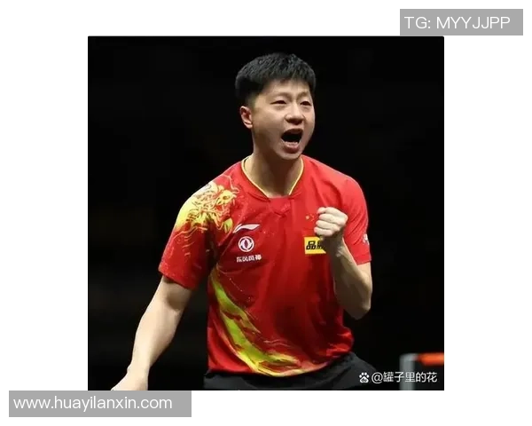 南京乒乓球队的拼搏历程与大满贯荣耀的背后故事